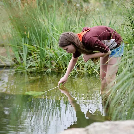 Biohof Ebenbauer Pensjonat Waidhofen an der Ybbs