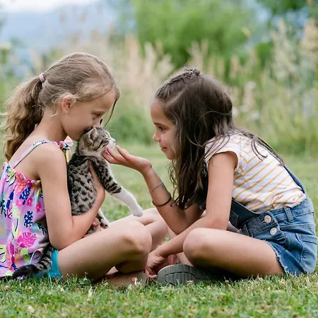 Pensjonat Biohof Ebenbauer 3*