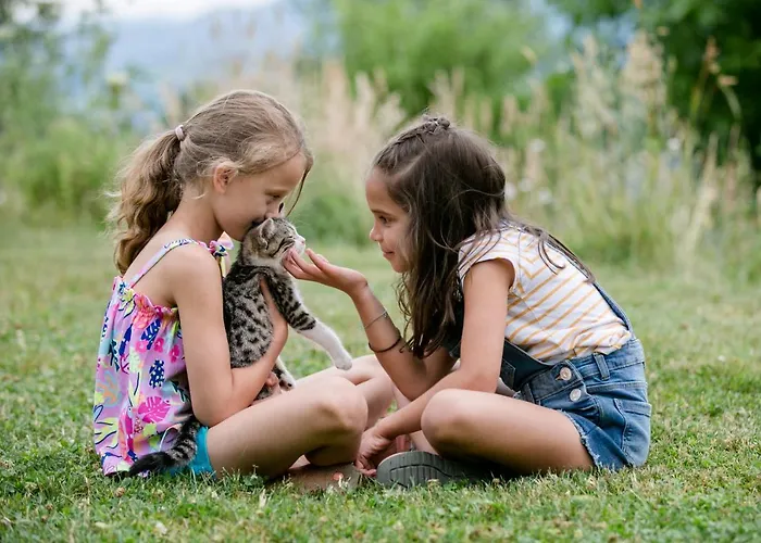 Gæstehus Biohof Ebenbauer 3*