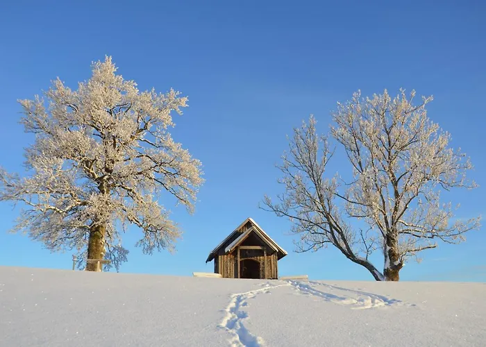 Biohof Ebenbauer Gæstehus Waidhofen an der Ybbs