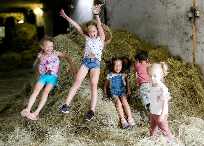 Biohof Ebenbauer Waidhofen an der Ybbs